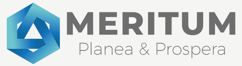 Meritum Logo